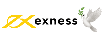 Complete Guide to Exness MT5 Download and Installation