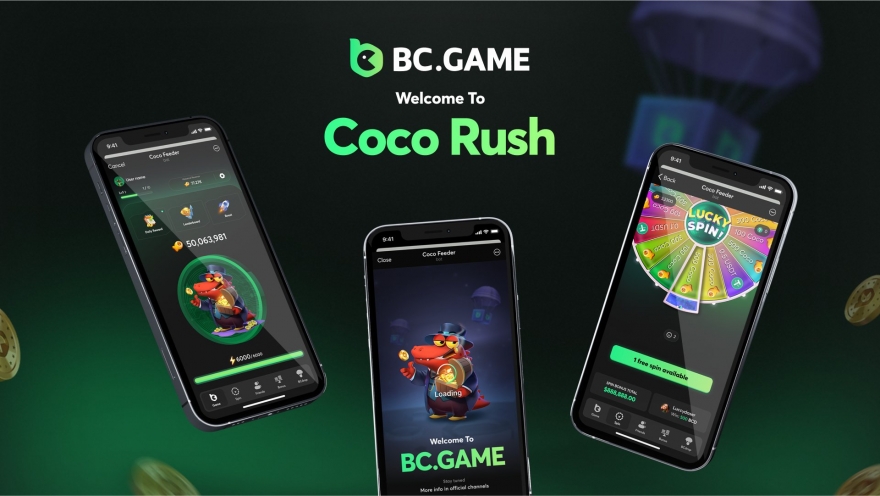 Experience the Excitement of BC Game Plinko